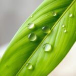 Peeling do cery tłustej — kiedy zobaczysz efekty i jak stosować bez podrażnień